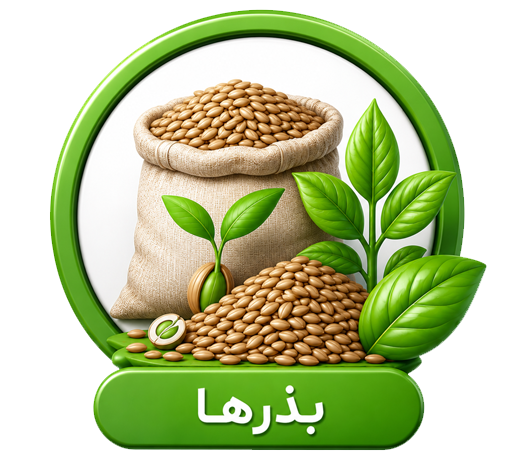 بذر ها